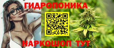 индика Волжский