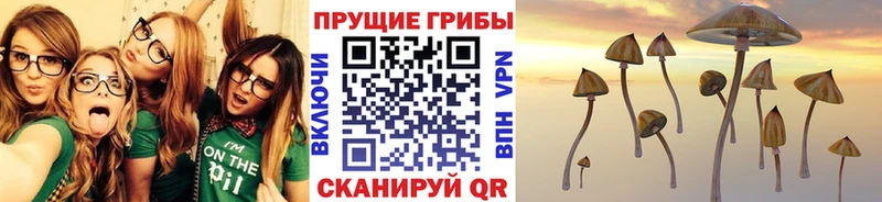 Псилоцибиновые грибы GOLDEN TEACHER  мега ONION  Касимов 