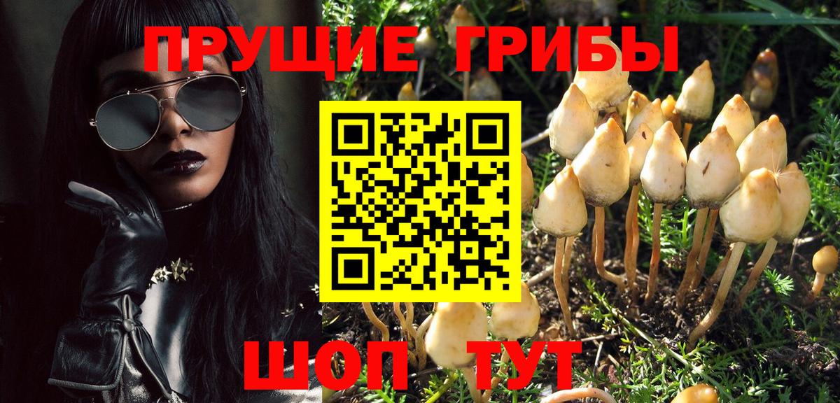 Касимов  наркота  Псилоцибиновые грибы Psilocybe  Вход с VPN  Галлюциногенные грибы ЛСД 