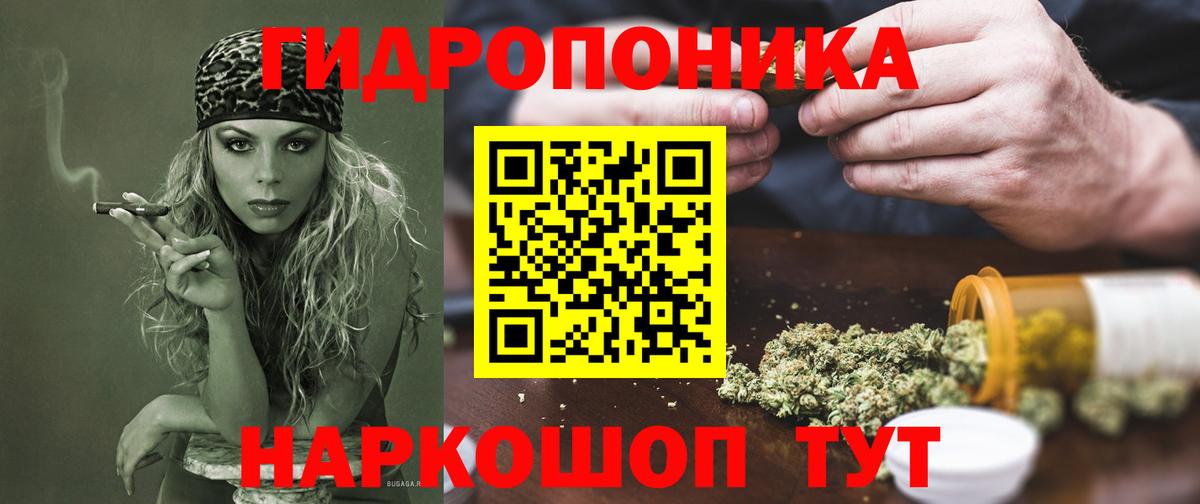 Каннабис White Widow  Вход с VPN  Шишки марихуана тримм  Каннабис сатива  Касимов 